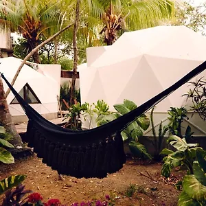 https://frequency.quintano-roohotels.com